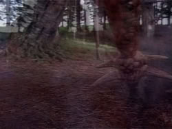 extant_HerculesAndTheAmazonWomen_6090