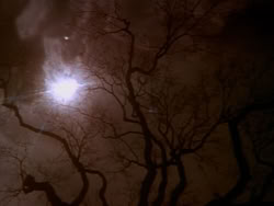 extant_HerculesAndTheLostKingdom_0021