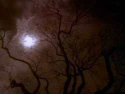 extant_HerculesAndTheLostKingdom_0022