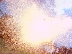 extant_HerculesAndTheLostKingdom_0066