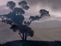 extant_HerculesAndTheLostKingdom_0176