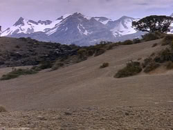 extant_HerculesAndTheLostKingdom_0184
