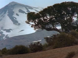 extant_HerculesAndTheLostKingdom_0196