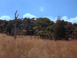 extant_HerculesAndTheLostKingdom_0248