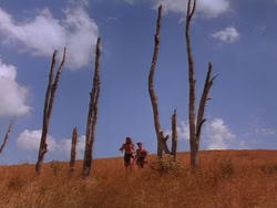 extant_HerculesAndTheLostKingdom_0261