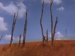 extant_HerculesAndTheLostKingdom_0267