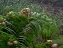 extant_HerculesAndTheLostKingdom_0348