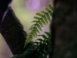 extant_HerculesAndTheLostKingdom_0373