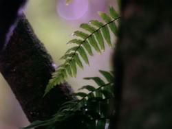 extant_HerculesAndTheLostKingdom_0374