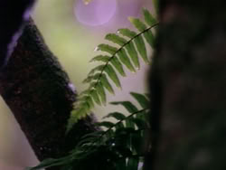 extant_HerculesAndTheLostKingdom_0375