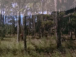 extant_HerculesAndTheLostKingdom_0923
