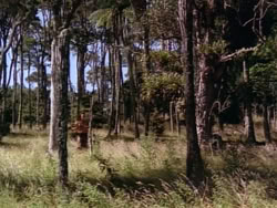 extant_HerculesAndTheLostKingdom_0924