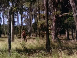 extant_HerculesAndTheLostKingdom_0925