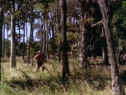 extant_HerculesAndTheLostKingdom_0926