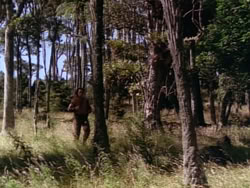 extant_HerculesAndTheLostKingdom_0927
