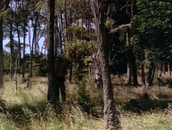 extant_HerculesAndTheLostKingdom_0928
