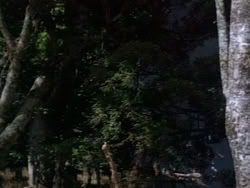 extant_HerculesAndTheLostKingdom_0934