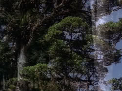 extant_HerculesAndTheLostKingdom_0935