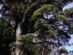 extant_HerculesAndTheLostKingdom_0936