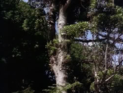 extant_HerculesAndTheLostKingdom_0938