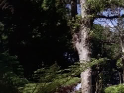 extant_HerculesAndTheLostKingdom_0939