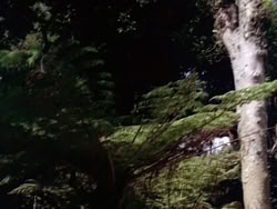 extant_HerculesAndTheLostKingdom_0940
