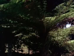 extant_HerculesAndTheLostKingdom_0941