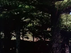extant_HerculesAndTheLostKingdom_0942