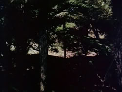 extant_HerculesAndTheLostKingdom_0943