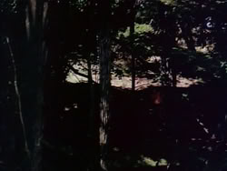 extant_HerculesAndTheLostKingdom_0944