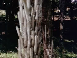 extant_HerculesAndTheLostKingdom_0948