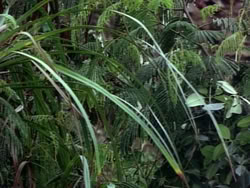 extant_HerculesAndTheLostKingdom_0960