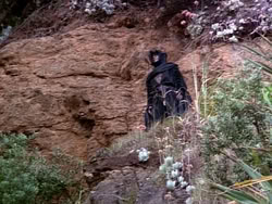 extant_HerculesAndTheLostKingdom_1136