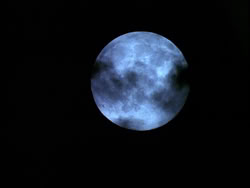 extant_HerculesAndTheLostKingdom_1356