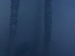 extant_HerculesAndTheLostKingdom_1369