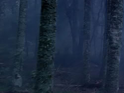extant_HerculesAndTheLostKingdom_1397