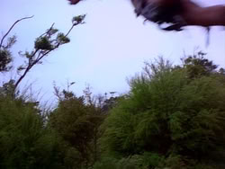 extant_HerculesAndTheLostKingdom_1515