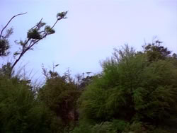extant_HerculesAndTheLostKingdom_1516