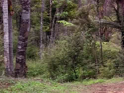 extant_HerculesAndTheLostKingdom_1575