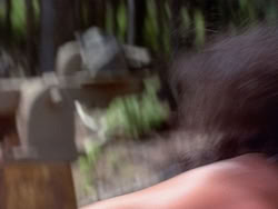 extant_HerculesAndTheLostKingdom_1624