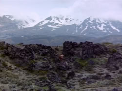 extant_HerculesAndTheLostKingdom_2758