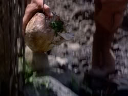 extant_HerculesAndTheLostKingdom_3143