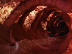 extant_HerculesAndTheLostKingdom_3196