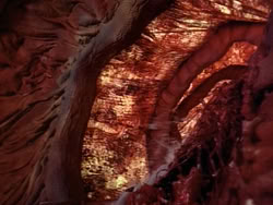 extant_HerculesAndTheLostKingdom_3202