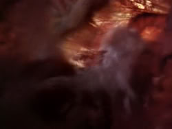 extant_HerculesAndTheLostKingdom_3203