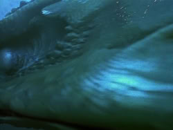 extant_HerculesAndTheLostKingdom_3221