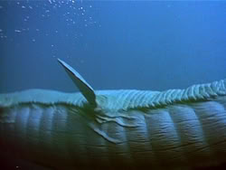 extant_HerculesAndTheLostKingdom_3302