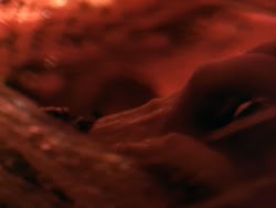 extant_HerculesAndTheLostKingdom_3310