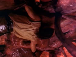 extant_HerculesAndTheLostKingdom_3407