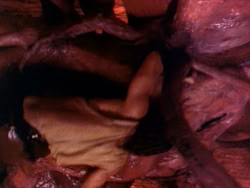extant_HerculesAndTheLostKingdom_3408